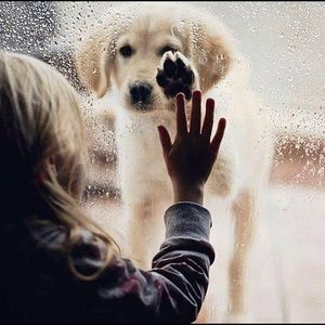 Meet your Posher, Familyview